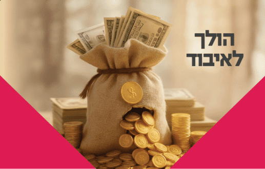 סביבת לימודים בתחום ייעוץ עסקי ופיננסי
